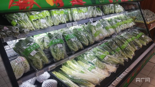 貴州生活品市場(chǎng)貨足價(jià)穩(wěn) 水產(chǎn)品零售供應(yīng)充足