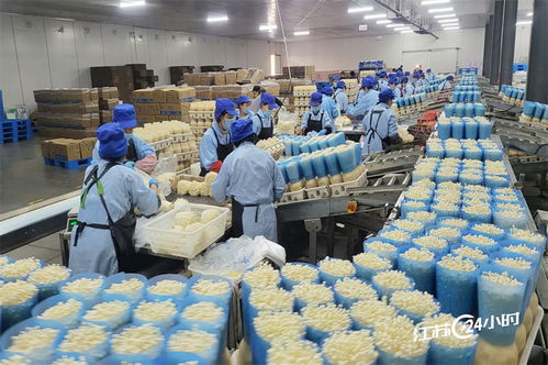 從工廠到餐桌 工廠化種植食用菌引領(lǐng)農(nóng)產(chǎn)品零售新變革